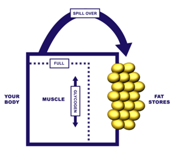 STOP Carb-Based Fat Spill-Over